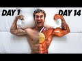 I PREPARED FOR A BODYBUILDING SHOW IN ONLY 14 DAYS…