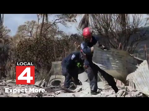 Local 4 News at Noon -- Aug. 17, 2023