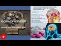 ROQYA For Relief From Headache ISLAMIC Ruqyah Shariah