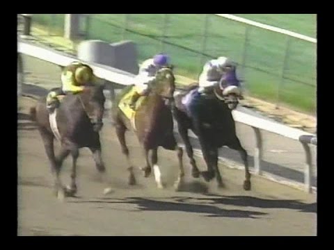 1994 Goodwood Handicap & Ancient Title : ESPN Broadcast