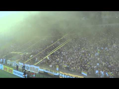 Os Tigres | Recebimento / Hino nacional - Criciúma 2 x 0 Chapecoense