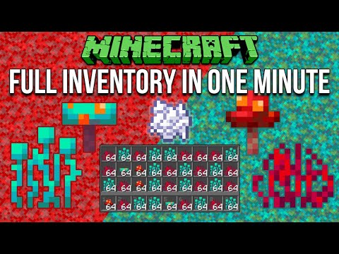 Minecraft 1.18 Warped & Crimson, Fungus & Roots Farm