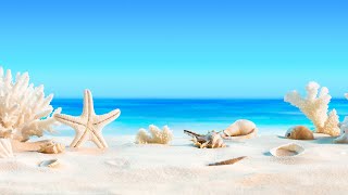 הדריכני באמיתך | תוכנית בשידור חי! לימוד בספרי רבי נתן מברסלב זיע"א (הרב ברוך זרובבל) - התמונה מוצגת ישירות מתוך אתר האינטרנט יוטיוב. זכויות היוצרים בתמונה שייכות ליוצרה. קישור קרדיט למקור התוכן נמצא בתוך דף הסרטון