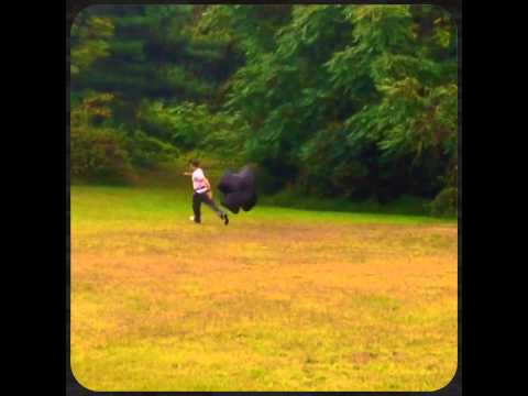 Workout Anywhere video.