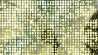 Elefant Sunlight makes me para