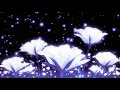 Billie Eilish WILDFLOWER Slowed Reverb