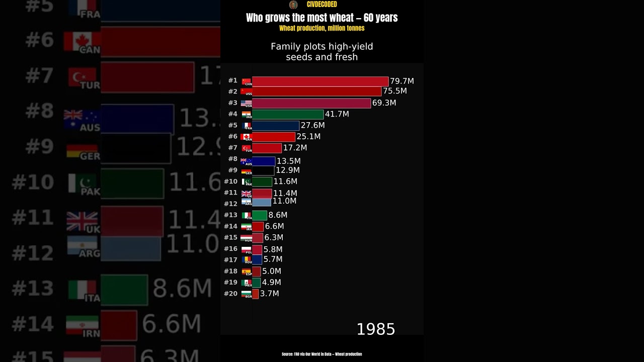 Who grows the world's wheat?