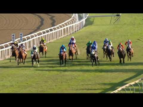 2021.07.31 Mercury Sprint (RSA) - Pearl of Asia