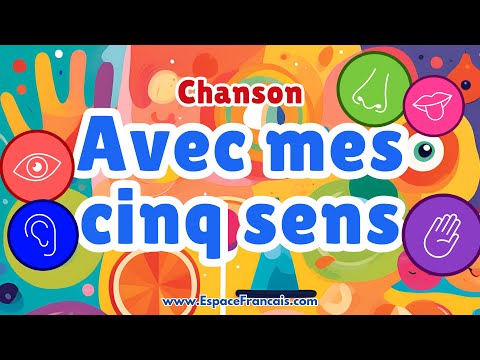 Avec mes cinq sens ✋ Chanson éducative pour enfants