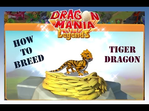 🎁 Breed TIGER DRAGON -  Dragon Mania Legends