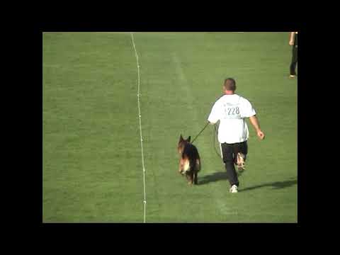 2005 SV BSZS VA4 Pakros d'Ulmental