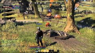 Bugged Quest for Stormhaven - ESO