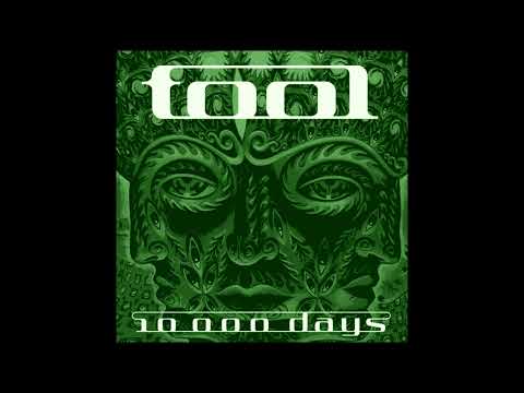 Tool - Vicarious (Instrumental)
