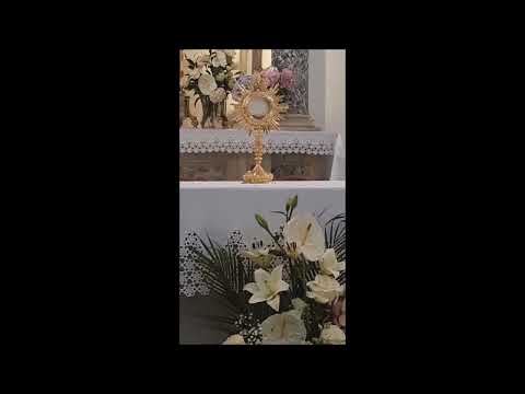 Dragutin Hrastović - Kad sam s Tobom, Isuse