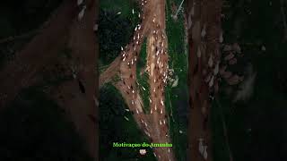 Cozinhando com Paixão: Receitas Que Aquecem o Coração #aceitação  #criacaodarealidade #frases #amor