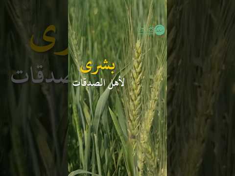 معاينة الفيديو الأول