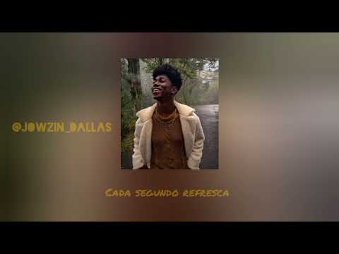 jovem beezy- GUARANÁ (abelha prévia)