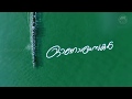 Onam Special WhatsApp Status HD 2018
