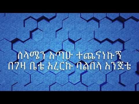Abinet Agonafir- Telahush አብነት አጎናፍር - ጠላሁሽ With LYRICS Ethiopian Music HD
