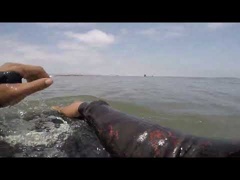 BODYBOARD MUELLE PUERTO MORÍN - VIRU - LA LIBERTAD. HACIA EL MUELLE