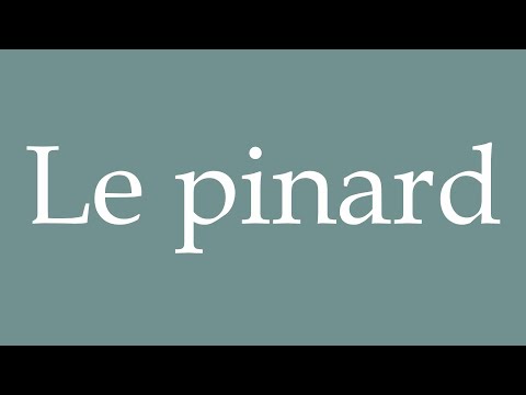 How to Pronounce ''Le pinard'' (The wine) Correctly in French