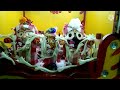 Naba Jaubana Darshan