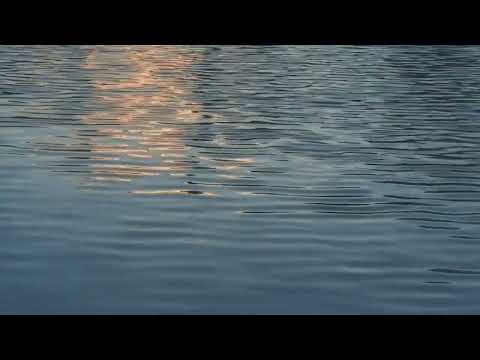 Tyla tarp garsų   Ingrida Ru