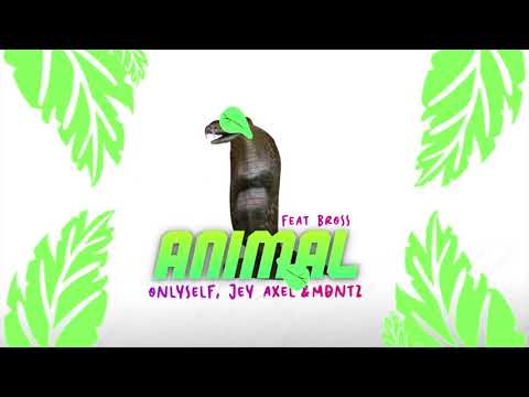 Onlyself, Jey Axel, MDNTZ & BROSS - ANIMAL (Audio Oficial)