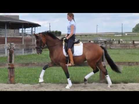 L'Equipe by L'Espoir