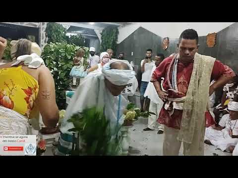 Candomblé - Limpeza de Oxossi e Sacodimento dos Eguns - Canjica de Oxossi 2021