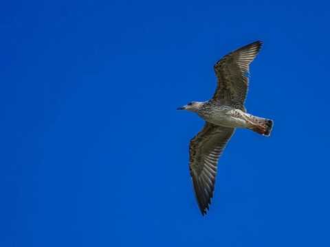 O Tempo - Para refletir sobre a vida.