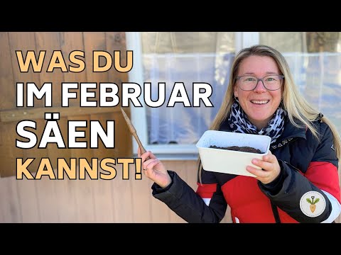 20 Gemüse im Februar aussäen – Starte JETZT deine Gartensaison 2026! 🍅🌻