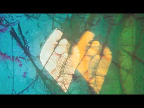 Ian Ikon - Waste land