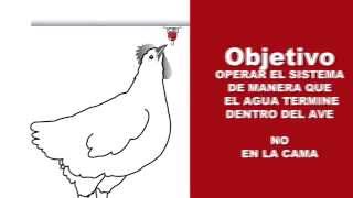Imagen por defecto