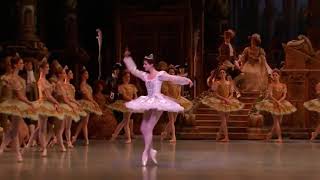 SLEEPING BEAUTY - Miettes qui Tombent - Woodland Glade Fairy (Laura Hecquet - Opera de Paris)