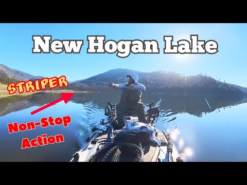 New Hogan Lake Winter Striper Fishing on the Fly 