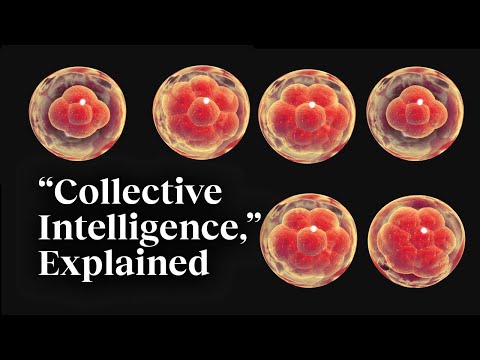 Big Think and 2 more