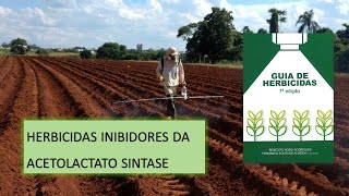 MECANISMO DE AÇÃO: ALS