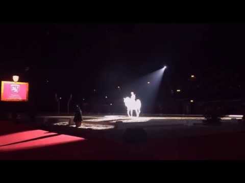 The Spanish Riding School, Piaffe Pirouette