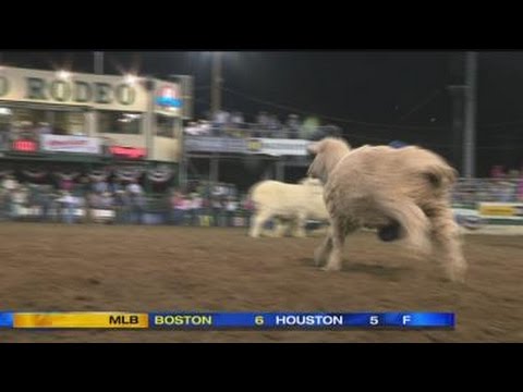 6/18 - 11pm - Reno Rodeo Highlights