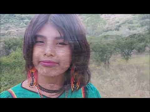 Aquí Estoy | Auténticos Wixárika Grupo Musical | Video Oficial | 2022