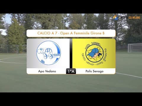 Sintesi Apo Vedano - Polis Senago