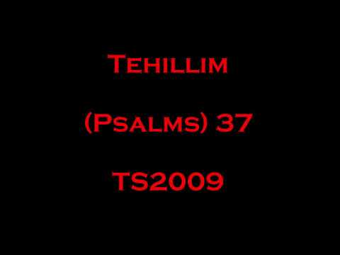 37 Tehillim (Psalms) - Read Along