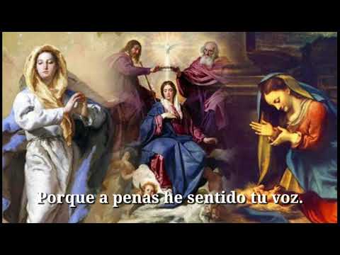 BENDITA, ERES TU, MARÍA.