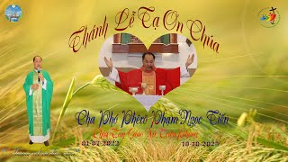 Những hình ảnh Cha Phó Phêrô Phạm Ngọc Tiến với giáo xứ Triệu Phong (2022-2025)