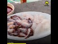 Sea Cucumber