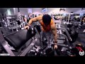 Back & Biceps Purgation - In Memory of Greg Plitt