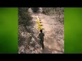 Zach King S Temple Run
