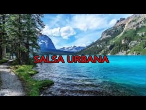 COMO OLVIDAR  DARKIN PEÑA LETRA