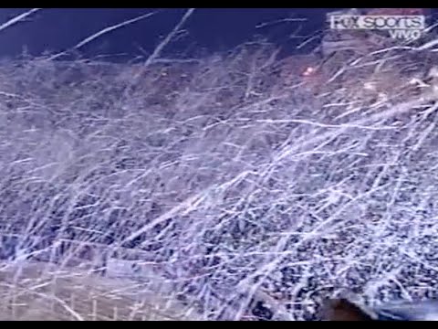 Nacional (Uru) vs Palmeiras (Bra) Libertadores 2009